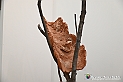 VBS_8608 - Artissima 2022 - Ventinovesima Edizione